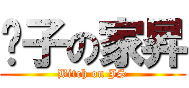 婊子の家昇 (Bitch on JS)