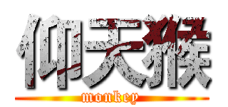 仰天猴 (monkey)