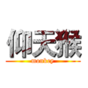 仰天猴 (monkey)
