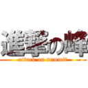 進撃の峰 (attack on summit)