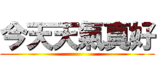 今天天氣真好 ()