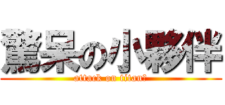 驚呆の小夥伴 (attack on titan。)