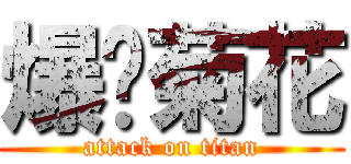 爆你菊花 (attack on titan)