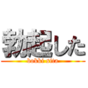 勃起した (bokki sita)