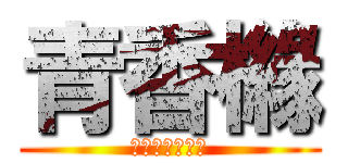 青香櫞 (シアンシトロン)