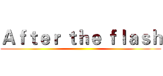 Ａｆｔｅｒ ｔｈｅ ｆｌａｓｈ ()