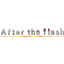 Ａｆｔｅｒ ｔｈｅ ｆｌａｓｈ ()