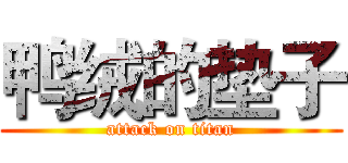 鸭绒的垫子 (attack on titan)