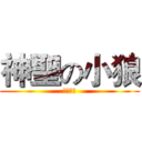 神聖の小狼 (進擊團隊)