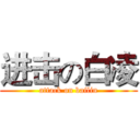 进击の白凌 (attack on bailin)