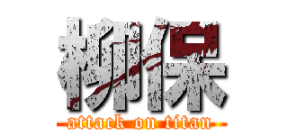 柳保 (attack on titan)