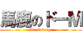 馬鹿のドーＭ (Mr.liukaige)