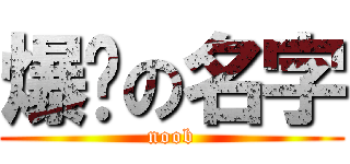 爆髒の名字 (noob)