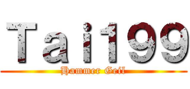 Ｔａｉ１９９ (Hammer Geil)