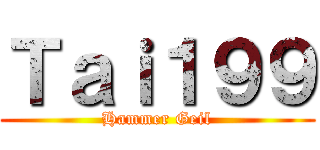 Ｔａｉ１９９ (Hammer Geil)