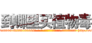 到哪里买植物毒 (到哪里买植物毒【电-186x2687x6963-Q278180069元-吉-药-业】我们做的是长期生意,靠的是老客户长期支持 http://sngk.net/qTAgvO
)
