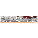 到哪里买植物毒 (到哪里买植物毒【电-186x2687x6963-Q278180069元-吉-药-业】我们做的是长期生意,靠的是老客户长期支持 http://sngk.net/qTAgvO
)