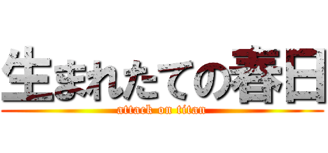 生まれたての春日 (attack on titan)