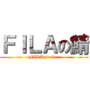 ＦＩＬＡの鯖 (FILA server)