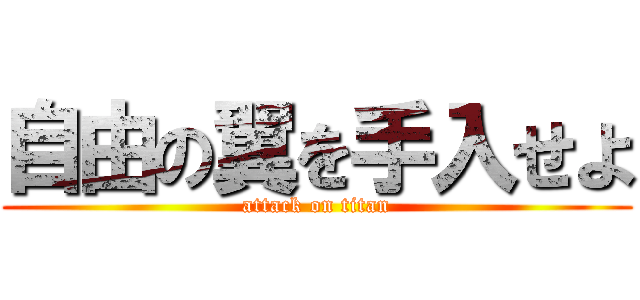 自由の翼を手入せよ (attack on titan)