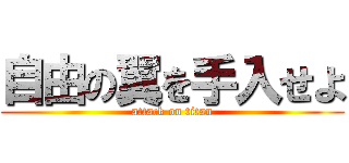 自由の翼を手入せよ (attack on titan)