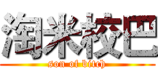淘米校巴 (son of bitch)
