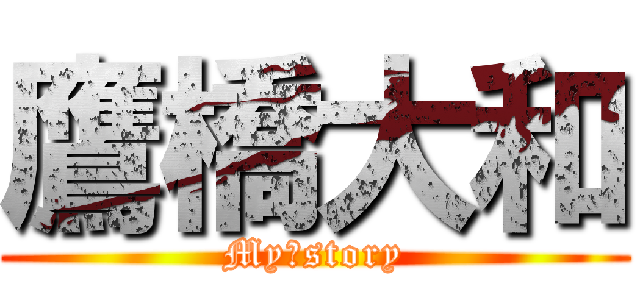 鷹橋大和 (My　story)