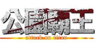 公園覇王 (attack on titan)