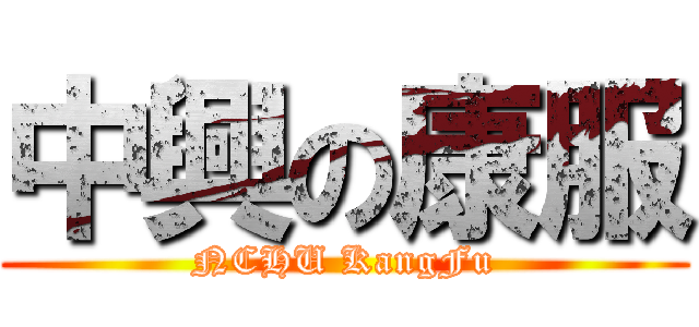 中興の康服 (NCHU KangFu)