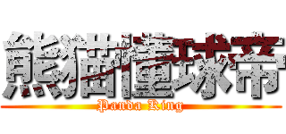 熊猫懂球帝 (Panda King)