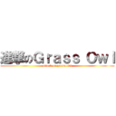 進撃のＧｒａｓｓ Ｏｗｌ (attack on grass owl)