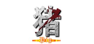 猪 (Pig)