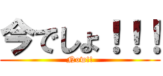 今でしょ！！！ (Now!!)
