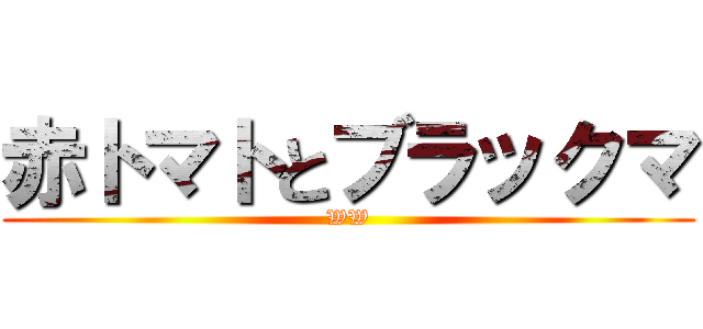 赤トマトとブラックマ (WW)