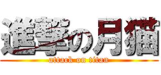 進撃の月猫 (attack on titan)