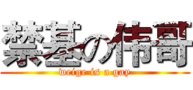 禁基の伟哥 (weige is a gay)