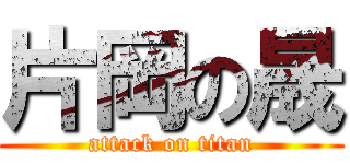 片岡の晟 (attack on titan)