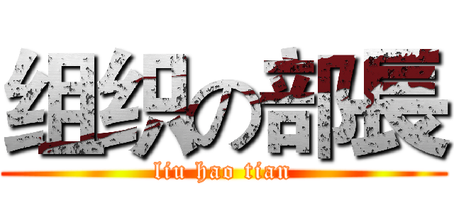 组织の部長 (liu hao tian)