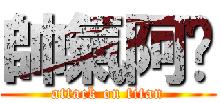 帥氣阿錩 (attack on titan)