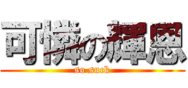 可憐の輝恩 (so suck)