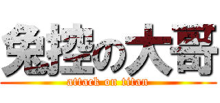 兔控の大哥 (attack on titan)