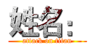 姓名： (attack on titan)