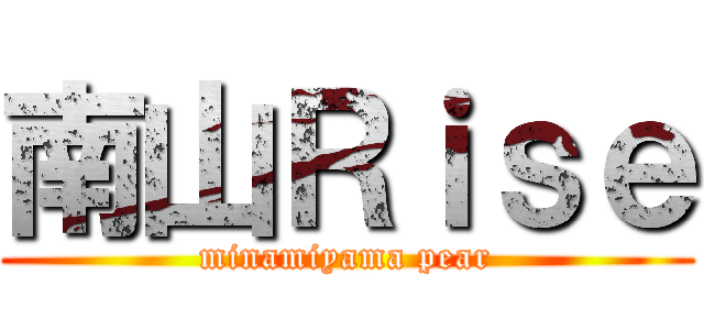 南山Ｒｉｓｅ (minamiyama pear)