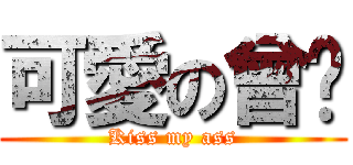 可愛の曾莘 (Kiss my ass)