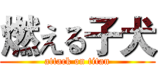 燃える子犬 (attack on titan)