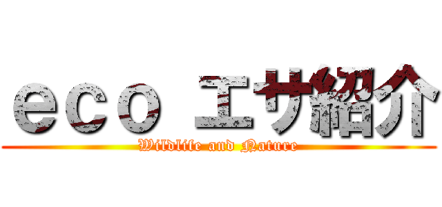 ｅｃｏ エサ紹介 (Wildlife and Nature)