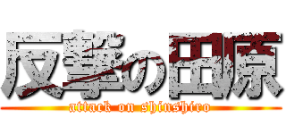 反撃の田原 (attack on shinshiro)