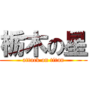 栃木の星 (attack on titan)