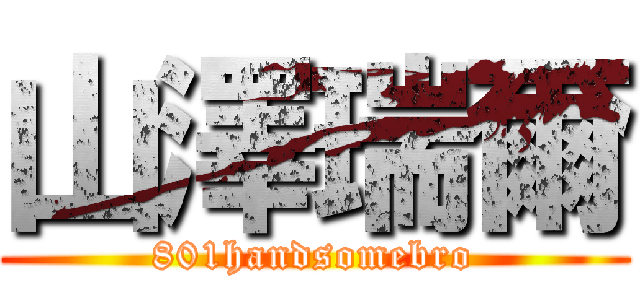 山澤瑞爾 (801handsomebro)