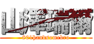 山澤瑞爾 (801handsomebro)